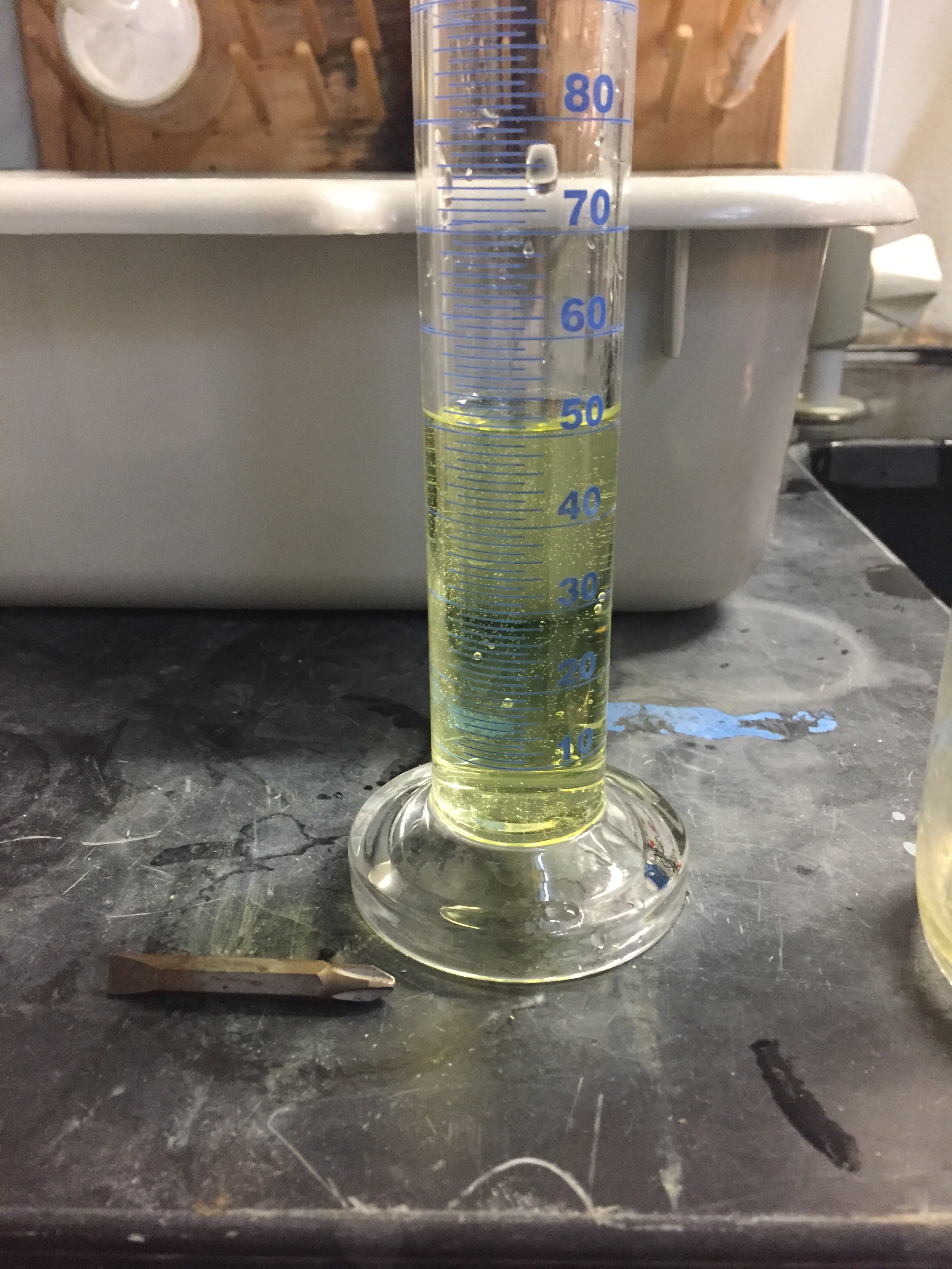 BioForge — biocatalysis in action